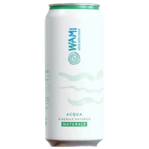 wami acqua minerale naturale lattina